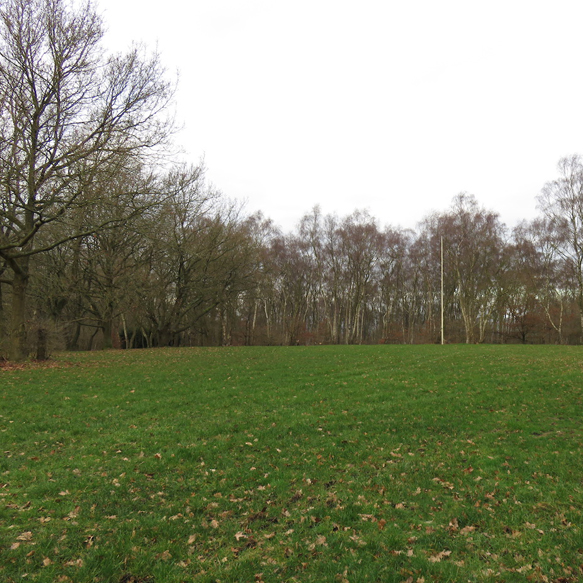 Spike's Activity Center